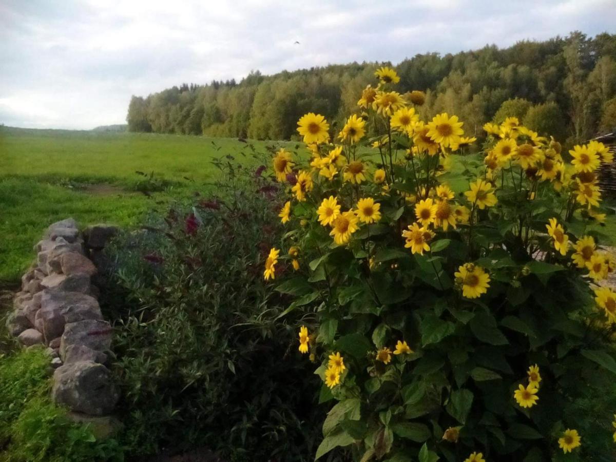 Ferienwohnung U Tatovy Lipy Jívka Exterior foto